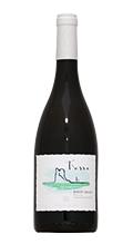 Cantine Paololeo Torre Pinot Grigio 2022　